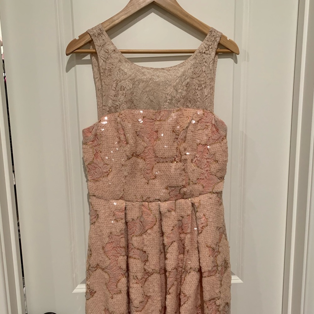 NWT gorgeous unique anthropology dress